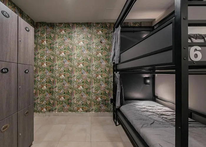 Bed In Shared Men Hostal